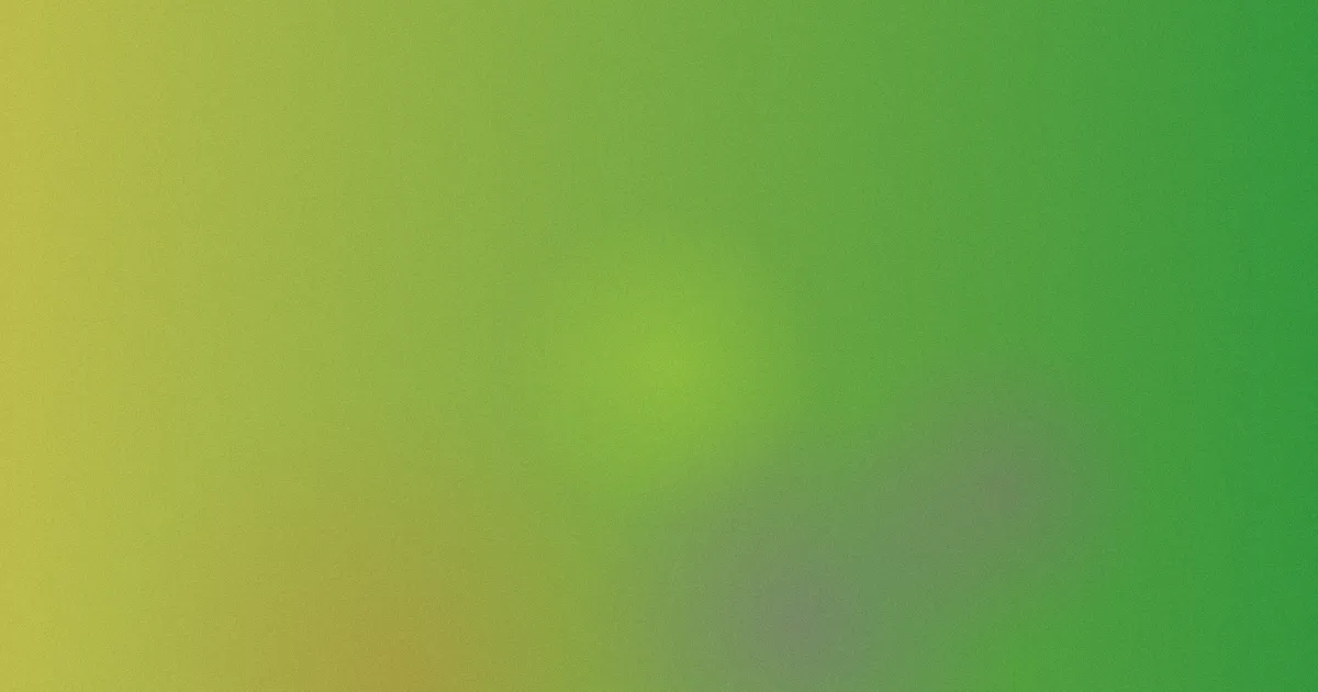 偷偷看怎么用？实测对比